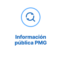 info_pmg